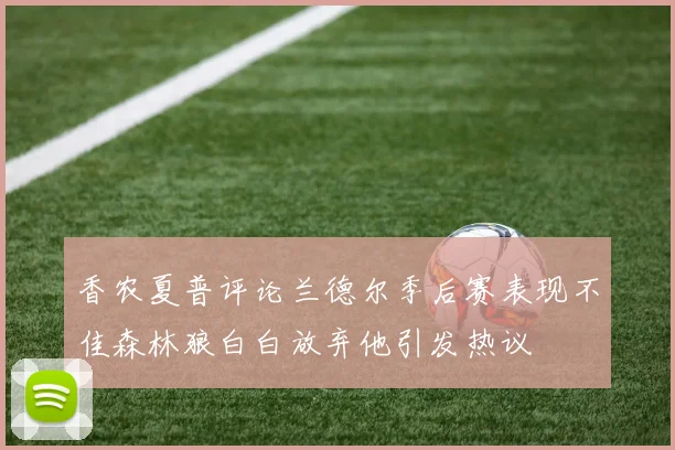 香农夏普评论兰德尔季后赛表现不佳森林狼白白放弃他引发热议