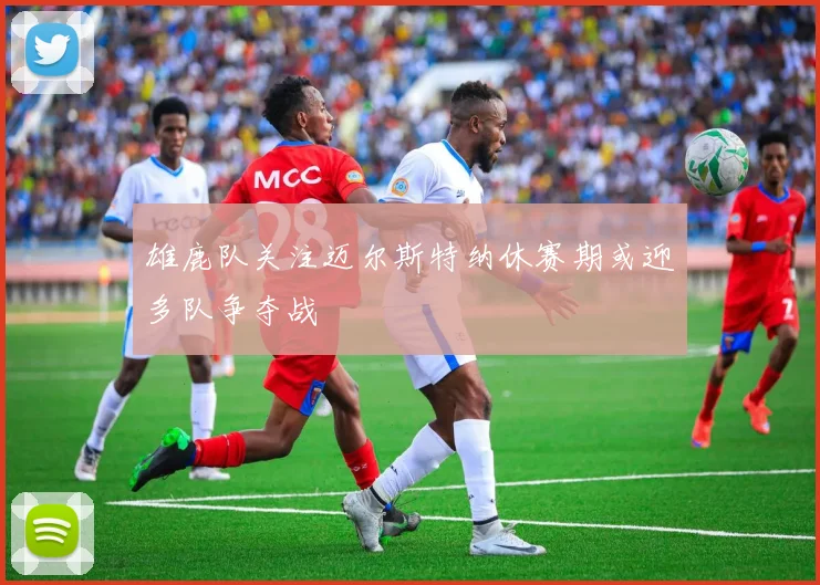 雄鹿队关注迈尔斯特纳休赛期或迎多队争夺战