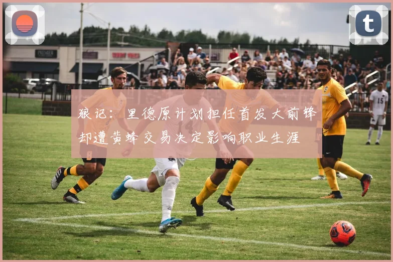 狼记：里德原计划担任首发大前锋却遭黄蜂交易决定影响职业生涯