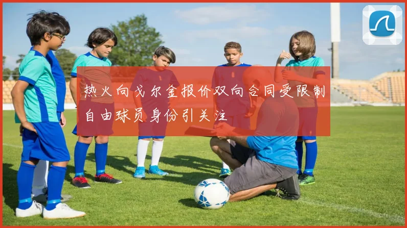 热火向戈尔金报价双向合同受限制自由球员身份引关注