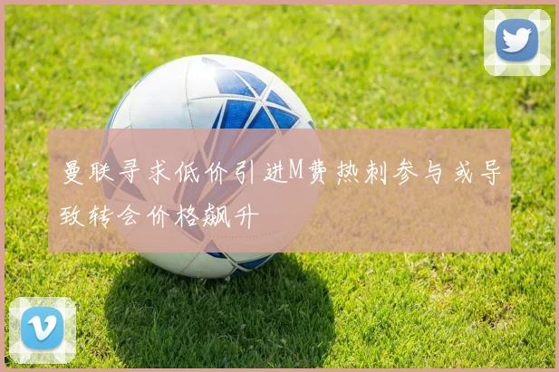 曼联寻求低价引进M费热刺参与或导致转会价格飙升